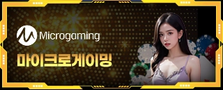 마이크로게이밍 카지노